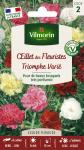 Fleurs - Œillet des Fleuristes Triomphe Varié - PACKAGING_RECTO
